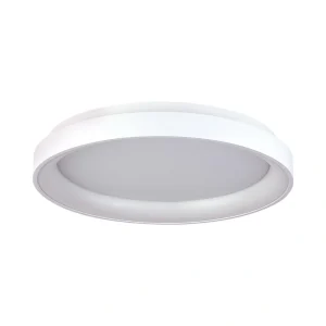 צמוד תקרה RING-S