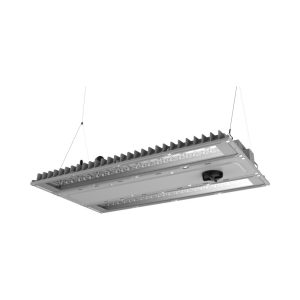 לינארי LUMINA